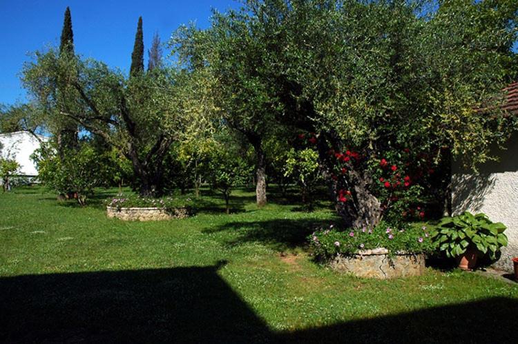 Omirico Studios Corfu  외부 사진